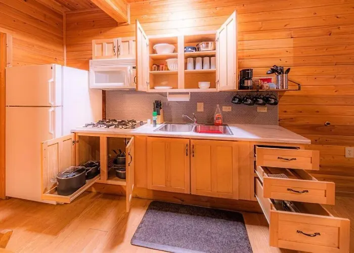 Cabin #5 Black Bear - Pet Friendly - Sleeps 6 - Playground & Game Room