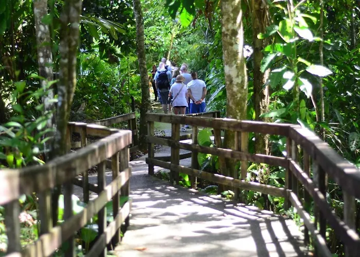 Veragua Rainforest