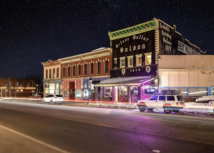 2 Dog Friendly Private Cozy Room In Leadville