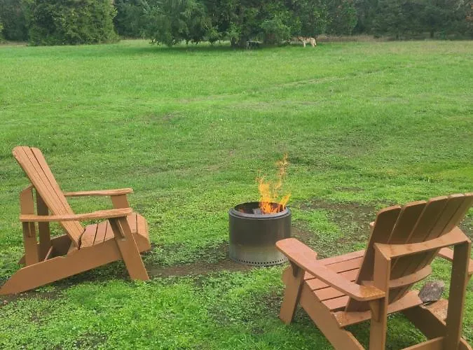 A Restful Studio Near A Creek And Forest - Pet Friendly