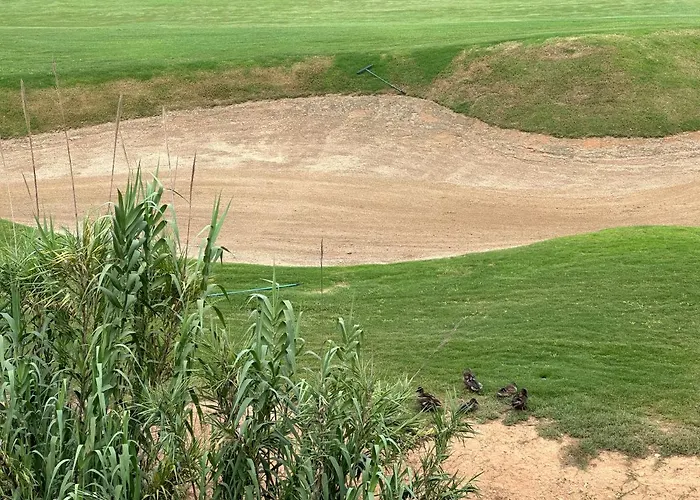 Vista Golf