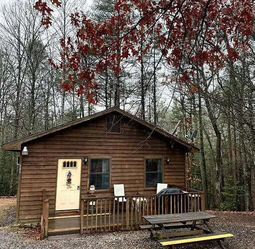 Private Cozy Cabin In The Woods With Great View