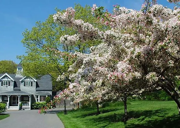 Cape Arundel Inn - Club House