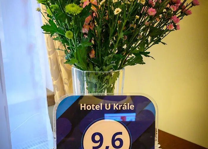 Hotel U Krale