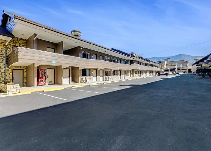 The Wander Hotel By Wyndham