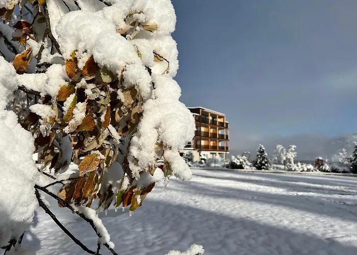 Hotel Lech Da Sompunt