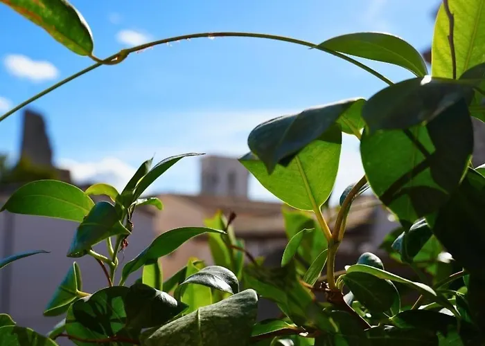 Al Piccolo Borgo Locanda Con Alloggio