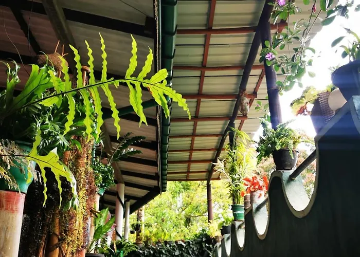 Cozy Homestay Waterfall Road Ella