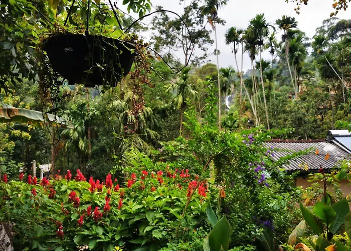 Cozy Homestay Waterfall Road Ella