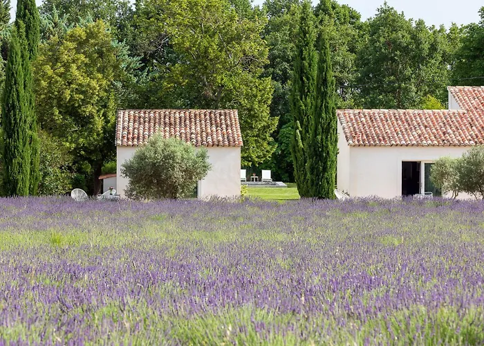 La Bastide De Damien, 5 Clefs Demeure D'Exception Et Table Remarquable Dans Le Guide Teritoria, Jacuzzi Privatif, Cuisine Etoilee Dominique Frerard