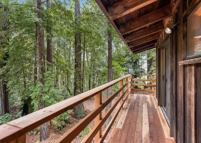 Grandma'S Cabin By The Sea