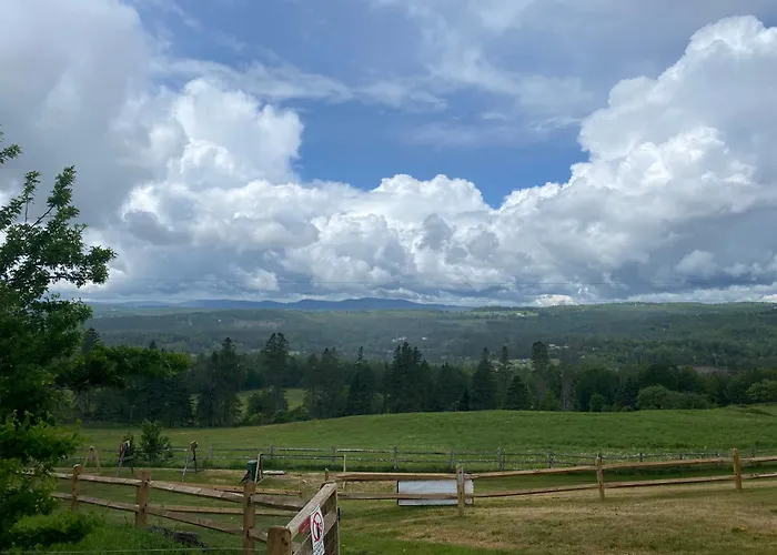 The Wildflower Inn