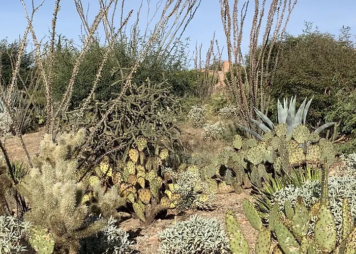 Garden Home With Mountain & Desert Views