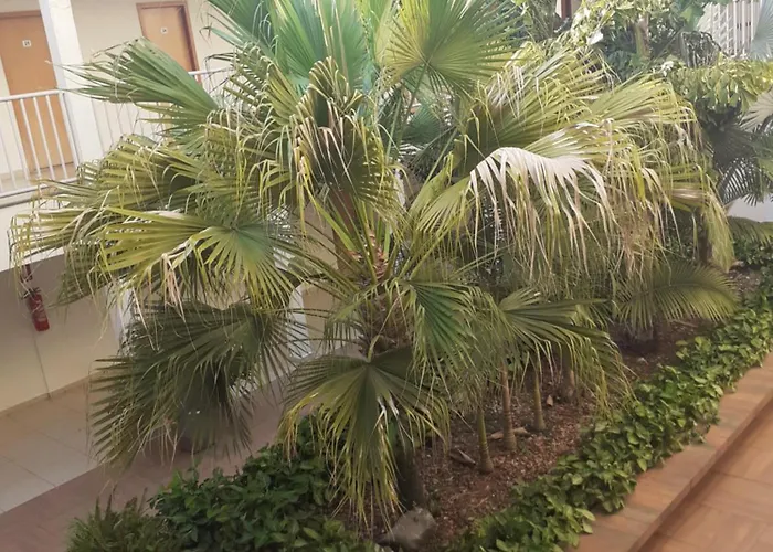 Vila Real Hotel