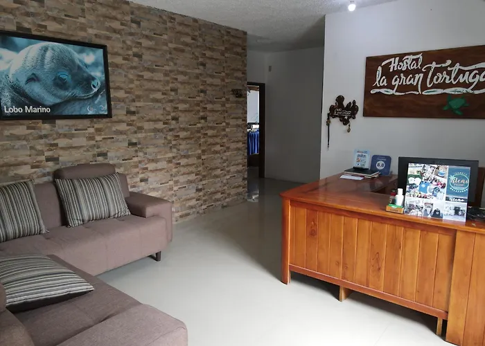 Hotel La Gran Tortuga - ᯤ Starlink