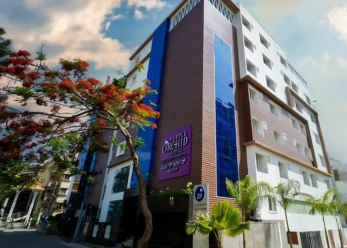 Zip By Spree Hotels Purpleorchid Whitefield