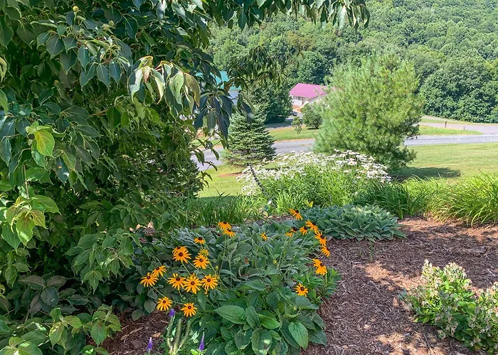 Bluff Mountain Retreat