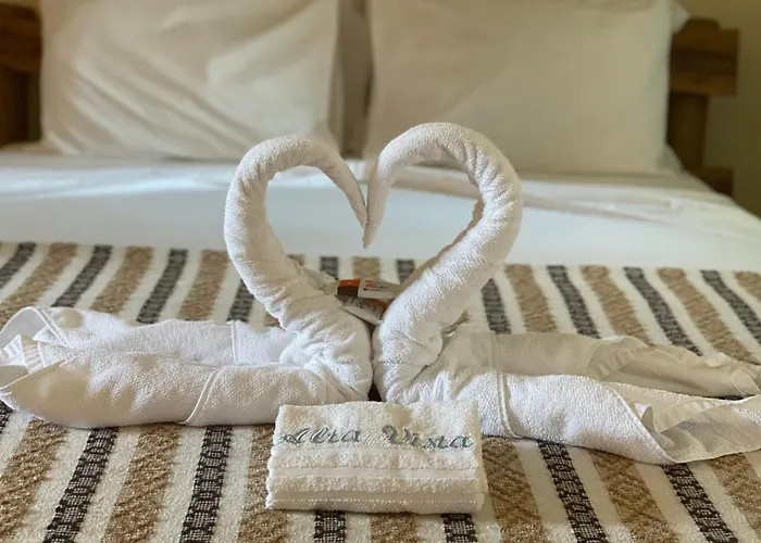 Hotel Alta Vista