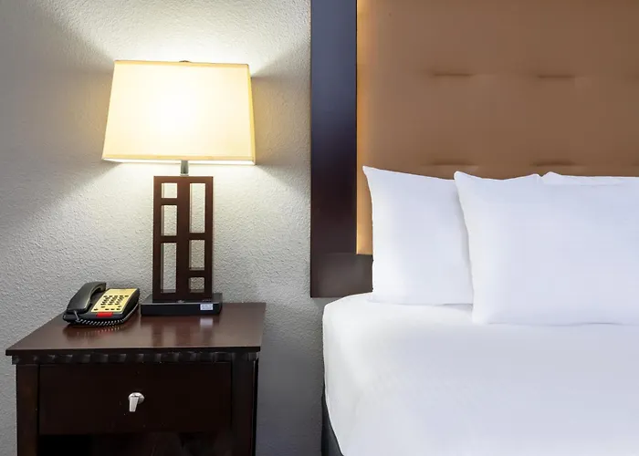 La Quinta By Wyndham Mt. Pleasant
