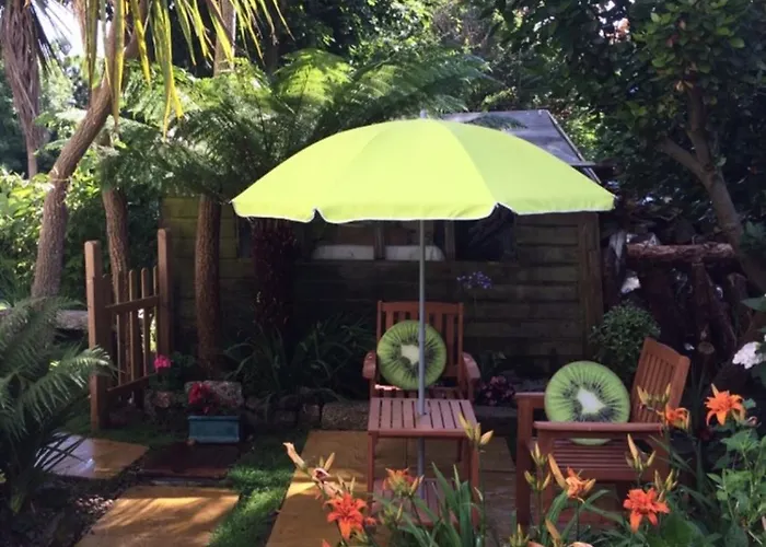 The Garden Apartment