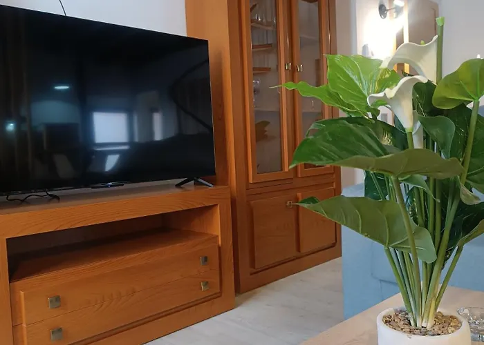 Apartamentos turisticos Ávila Puerta del Mariscal 1-1