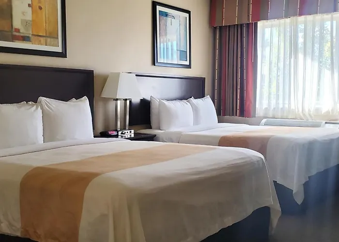 Quality Inn & Suites Anaheim At The Park
