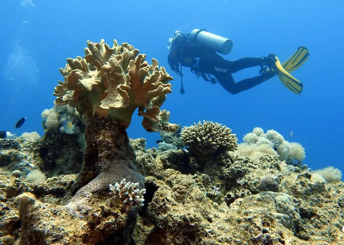 Aqaba Pro Divers