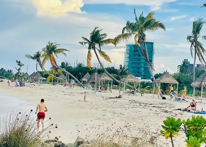 La Isla Tropica