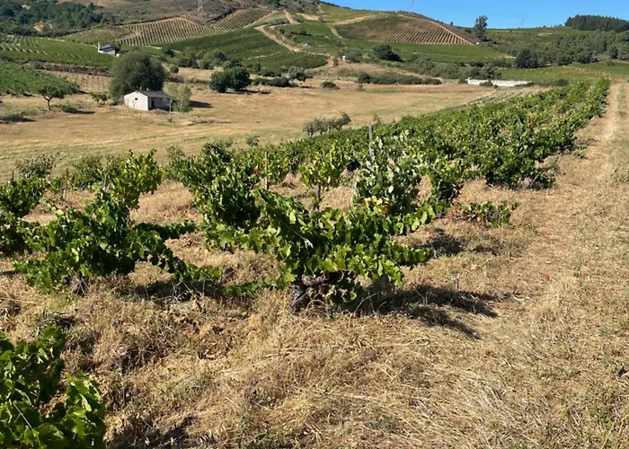Boutique Finca esencial