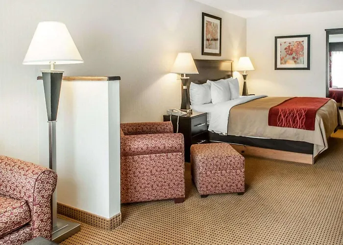 Quality Inn & Suites Farmington