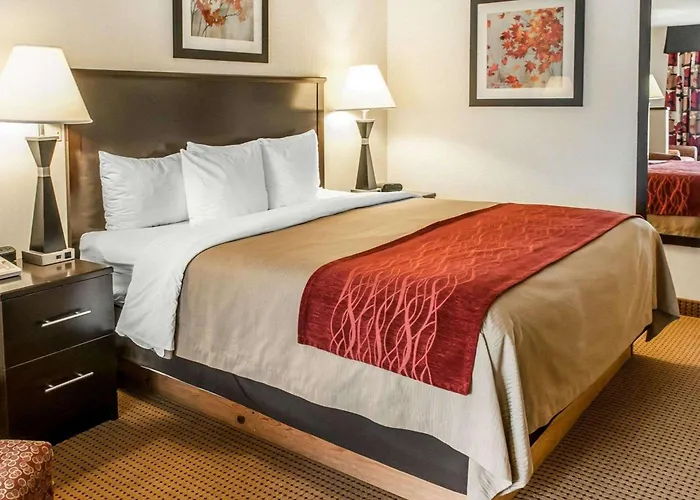 Quality Inn & Suites Farmington
