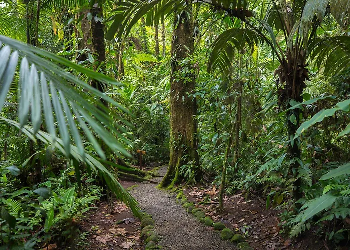 Hideaway Rio Celeste Hotel
