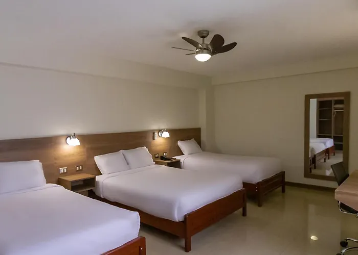 Hotel Alexander