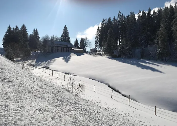 Waldhotel Auerhahn "Hochkopfhaus"