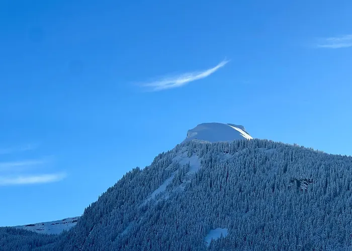 Hotel Igloo