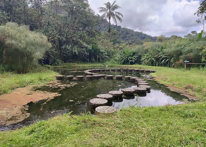 Mindo Garden Lodge And Wildlife Reserve