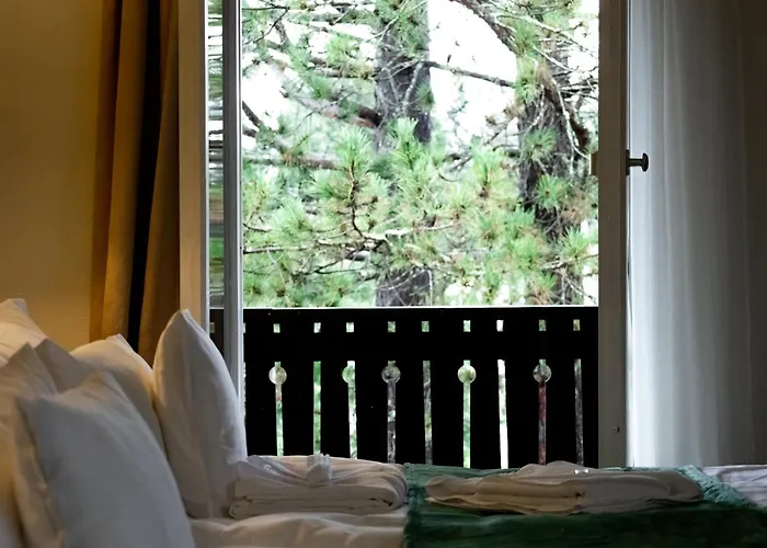 Hotel Zum See, Titisee