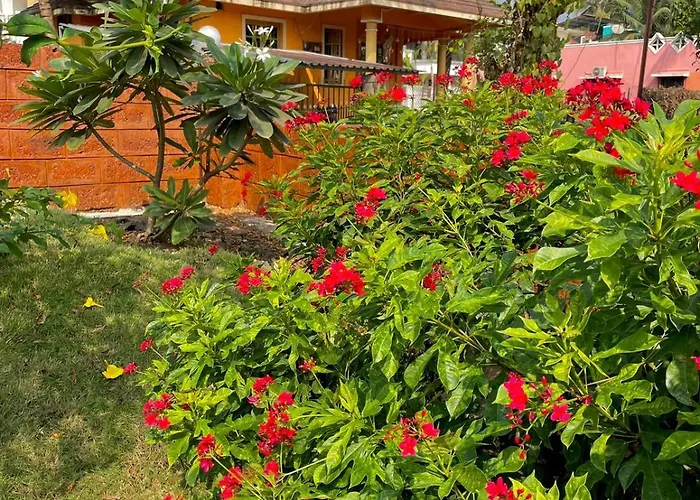 Scarlet Resort Alibag