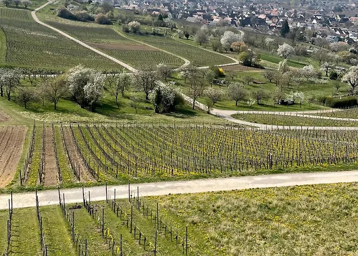 Landgasthof Rebstock Weil Am Rhein / Basel