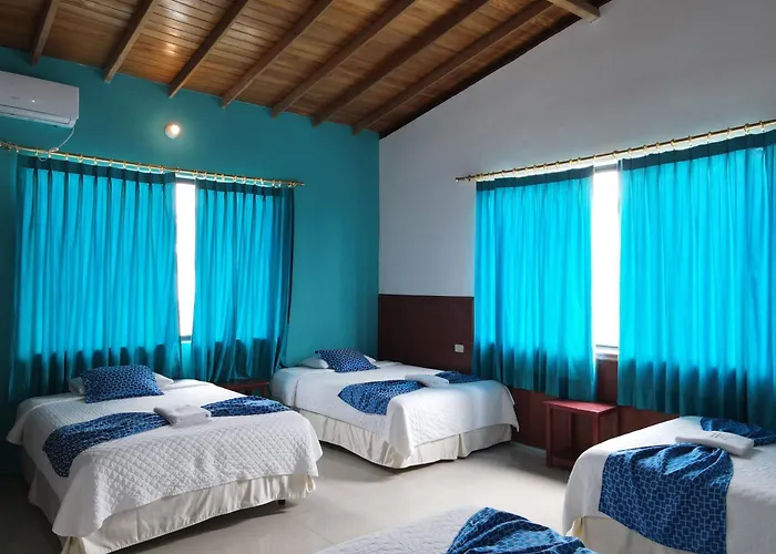 Hotel La Gran Tortuga - ᯤ Starlink