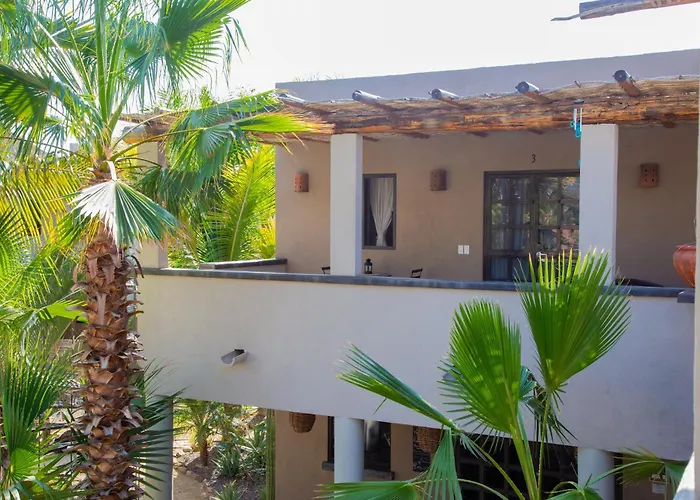 Pure Baja Private Suites-Upscale Property With Infinity Pool And Lush Gardens