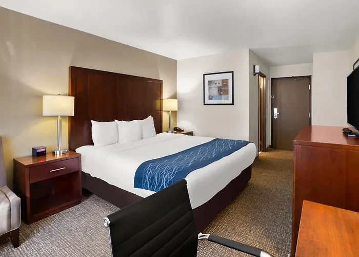 Comfort Inn Lacey - Olympia