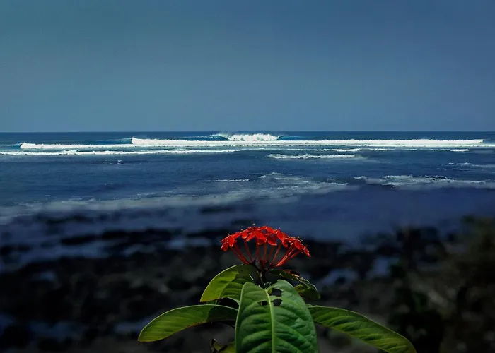 Oceanfront Bungalows - Paradise Rentals