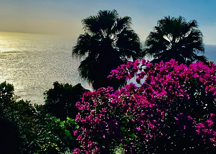 Tropicangel Ecolodge De Charme