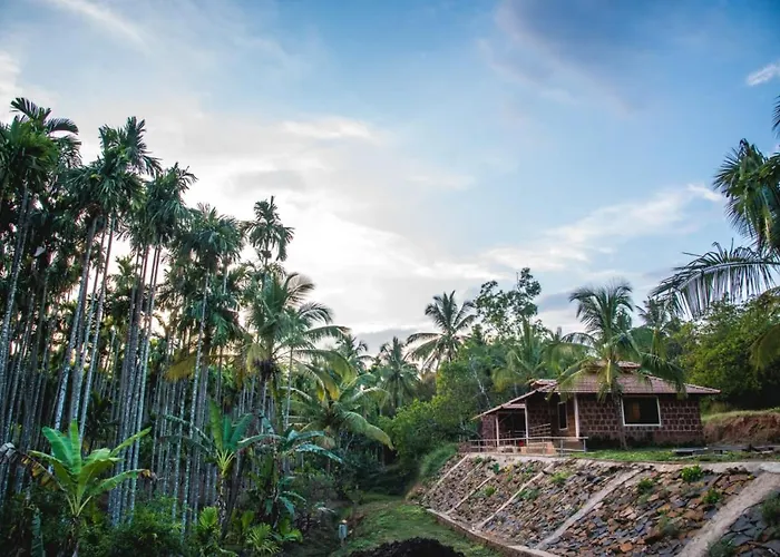 Dandeli Jungle Resort