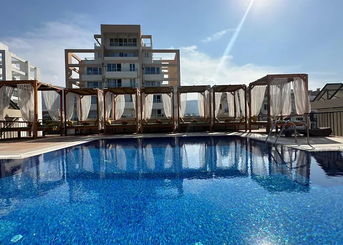 Olivia Palm Hotel
