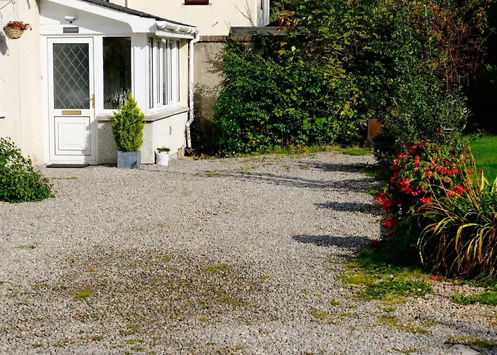 Lovely 1-Bedroom Apartment With Free Parking