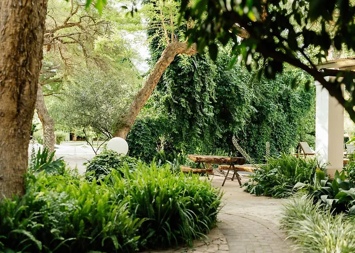 Upington African Vineyard Boutique Hotel & Spa