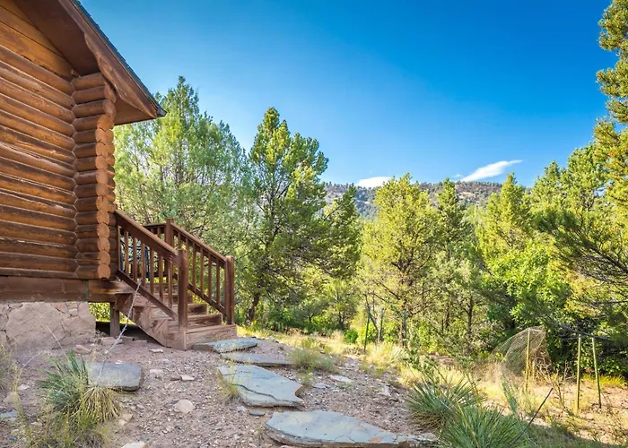 Evergreen Escape In Ridgway Co