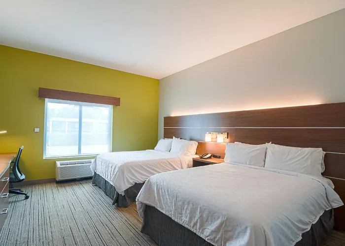 Holiday Inn Express Hotel & Suites Tampa-Usf-Busch Gardens By Ihg